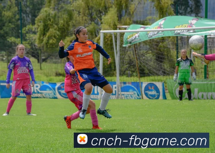 FB体育官网品牌故事